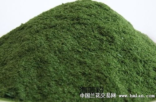 蘭花專(zhuān)用有機(jī)肥的制作與使用指南